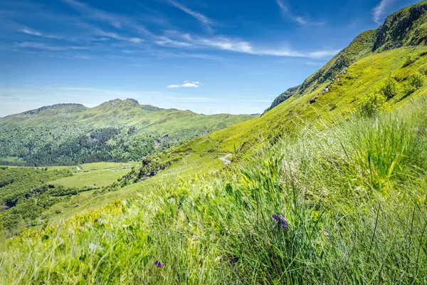 stock image The volcanic landscape of Puy Mary, Auvergne France