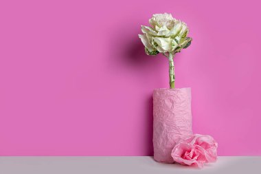 Vazoda süslü bir lahana, pembe arka planda pembe kağıtla sarılı.