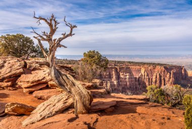 Panoramic landscape view of the Colorado National Monument clipart