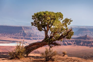 Utah 'taki Ölü At Noktası Eyalet Parkı' nda manzara