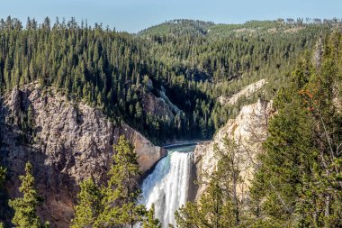 Lower Yellowstone Falls Yellowstone Ulusal Parkı, ABD