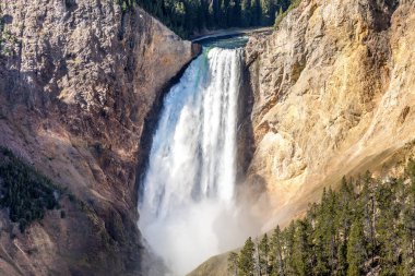 Lower Yellowstone Falls Yellowstone Ulusal Parkı, ABD