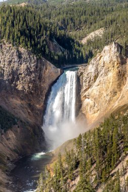 Yellowstone Ulusal Parkı 'ndaki Lower Yellowstone Falls, ABD