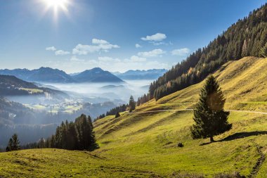Kasım ayı sonunda Avusturya 'da dağlık çayırların ve dağların manzarası