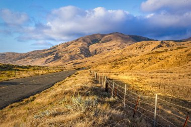 Kaliforniya 'daki kayıp ceketin altın çayırları