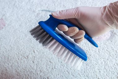 Temizlik için lastik eldiven ve fırça verin. Yerleri temizlemek için plastik mavi fırça. Ev temizliği kavramı.