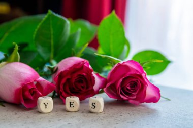 Evet ünlem kelimesi. Taş masanın üzerinde pembe güller var..