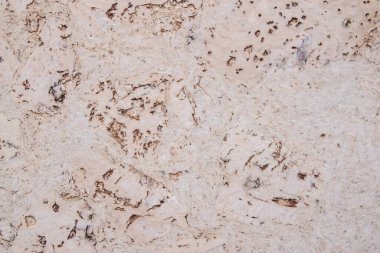 Mantar yüzeyinin beyaz arkaplanı açık kahverengi ve beyaz doğal desenli.