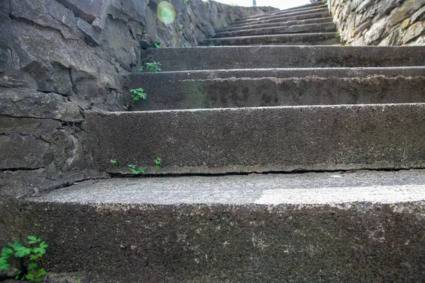 Eski ormanda eski basamaklar. Yaz zamanı. Yeşil çimenli taş merdivenli renkli sonbahar manzarası. Doğa. 