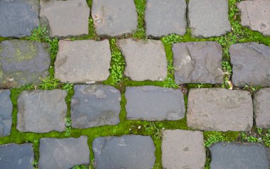 Antik binanın gri yapısal duvarı yeşil çimenli eski tuğlalardan oluşuyor..