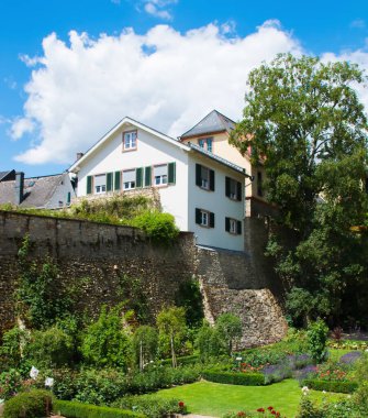 Ağaçları olan güzel bir bahçe, çiçekler ve tam bir yaz çiçeği. Bahçede bir sürü ev var..