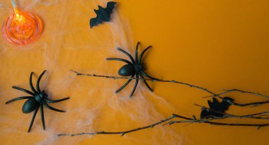 Cadılar Bayramı süslemeleri, balkabakları, yarasa, ağ, turuncu arka planda dikenler. Cadılar Bayramı partisi tebrik kartı. 