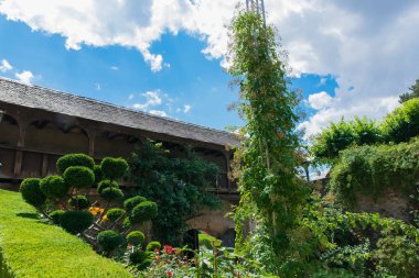 Ağaçları olan güzel yeşil bir bahçe, çiçekler ve tam bir yaz çiçeği. Bahçenin etrafındaki eski ahşap kapı ve taş duvar.