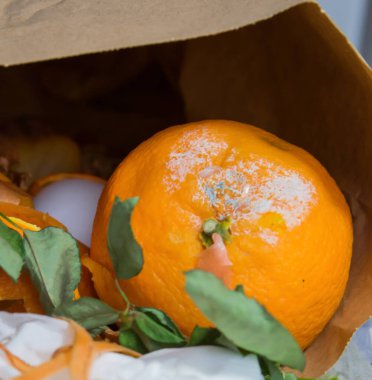 Evcil yiyecek çöpleri için kağıt biyotorba içinde küflü turuncu. Gübre atığı.