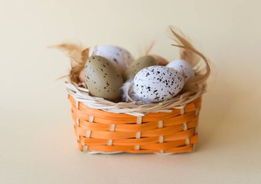 Sarı bahar arka planında sepetinde tüyleri olan küçük paskalya yumurtaları. Paskalya konsepti. 