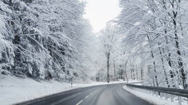 Kış ormanı arasında trafik işaretli yol. Soğuk havada kar ve buzla kaplı bir sürü ağaç.