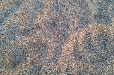 Much little stones on the sand near the water. Walking on the sea beach. Nature background. clipart