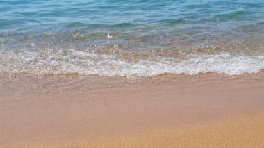 Deniz arka planı. Şeffaf su, dalgalar güneşli bir günde kum ve taşlarla dolu..