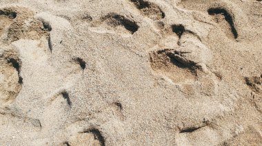 Footprints of human feet on the sand near the water on the sea beach. Nature background. clipart