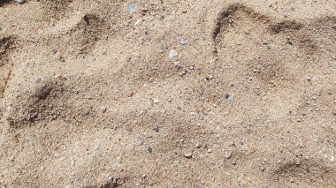 Yellow sand near the water. Walking on the sea beach. Nature background. clipart