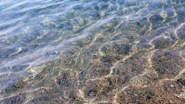 Deniz taşları. Güneşli bir günde şeffaf su ve dalgalar çok taşlı..