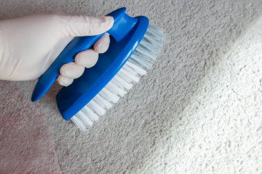 Temizlik için lastik eldiven ve fırça verin. Yerleri temizlemek için plastik mavi fırça.. 