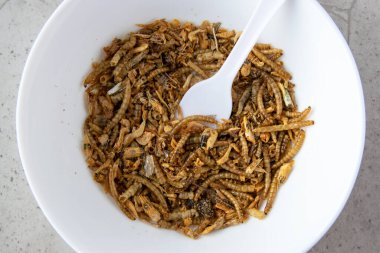 Pudra için sarı sosis. Kurutulmuş solucanlar yemek olarak yer ya da arka planda beyaz kasede böcek eti pişirir. İyi protein kaynağı. 