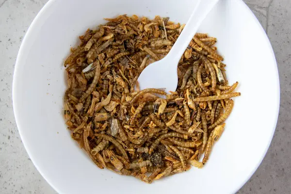 Pudra için sarı sosis. Kurutulmuş solucanlar yemek olarak yer ya da arka planda beyaz kasede böcek eti pişirir. İyi protein kaynağı. 