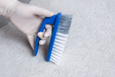 Temizlik için lastik eldiven ve fırça verin. Yerleri temizlemek için plastik mavi fırça ve köpük.. 