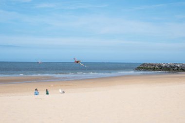 Baba ve oğul kumsalda uçurtmayı ellerinde tutuyorlar. Birlikte tatiller, seyahatler ya da yaz tatilleri geçiririz. Okyanus ya da deniz kenarında oynayan bir çocuk.