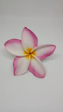 Güzellik ve doğal pembe