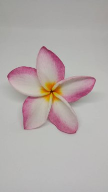 Güzellik ve doğal pembe