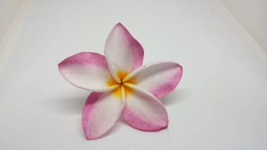 Güzellik ve doğal pembe