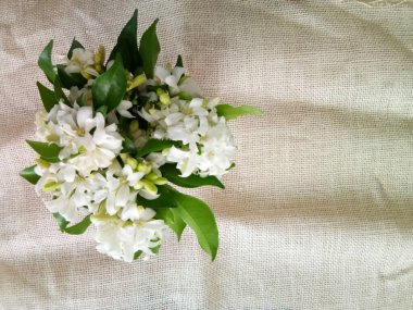 Çiçeklerin kokusu rahatlatır.