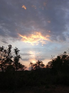 Dalların gölgeleri ve akşam güneşi.