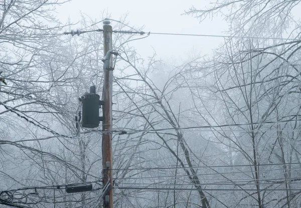 Şiddetli buz fırtınası sırasında buzla kaplı elektrik hatları ve kutup