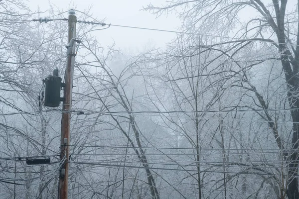 Şiddetli buz fırtınası sırasında buzla kaplı elektrik hatları ve kutup