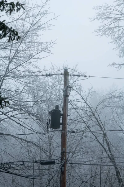 Şiddetli buz fırtınası sırasında buzla kaplı elektrik hatları ve kutup