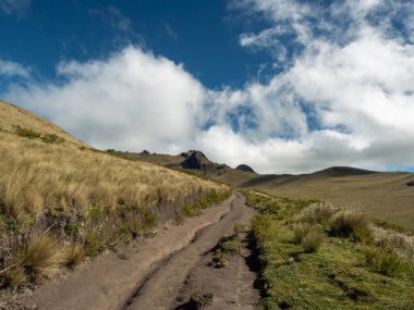 Paramo 'da yürüyüş parkuru, Andead dağlarında çim kaplı bir vadi. Ekvador 'daki Cotopaxi Milli Parkı' nda.