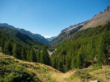 İtalya 'nın Valle d' Aosta kentindeki Lys Vadisi 'nde, Gressoney la Trinite ve Staffal' ın (Tschaval) üzerindeki yeşil orman manzarası. Pennine Alpleri, Kuzey İtalya.
