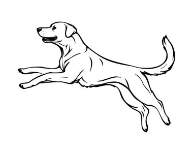 Zıplayan köpek, oyuncu köpek, insanlığın golden retriever dostu, golden retriever köpek çizgisi sanat vektörü