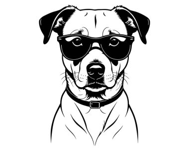 Amerikan Pitbull teriyeri köpek suratlı güneş gözlüğü takıyor. İzole vektör silueti çizimleri. Buldog. Cool Pit Bull Kara Güneş Gözlükleri. Dostum..