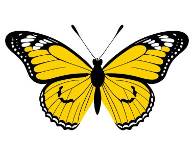 Kral kelebeği silueti beyaz arkaplanda izole edilmiş Clipart görüntüsü. Güzel Kelebek Dekorasyonu element Vektör Tasarımı. Vektör illüstrasyonu