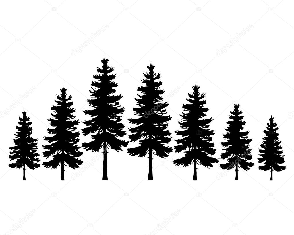 Pine tree silhouette, Christmas tree clip art. Winter Holiday Symbols. spruce tree, ink plant sketch, hand drawing. Forest Fir Trees, Black Evergreen Woods vector illustration. . Vector illustration