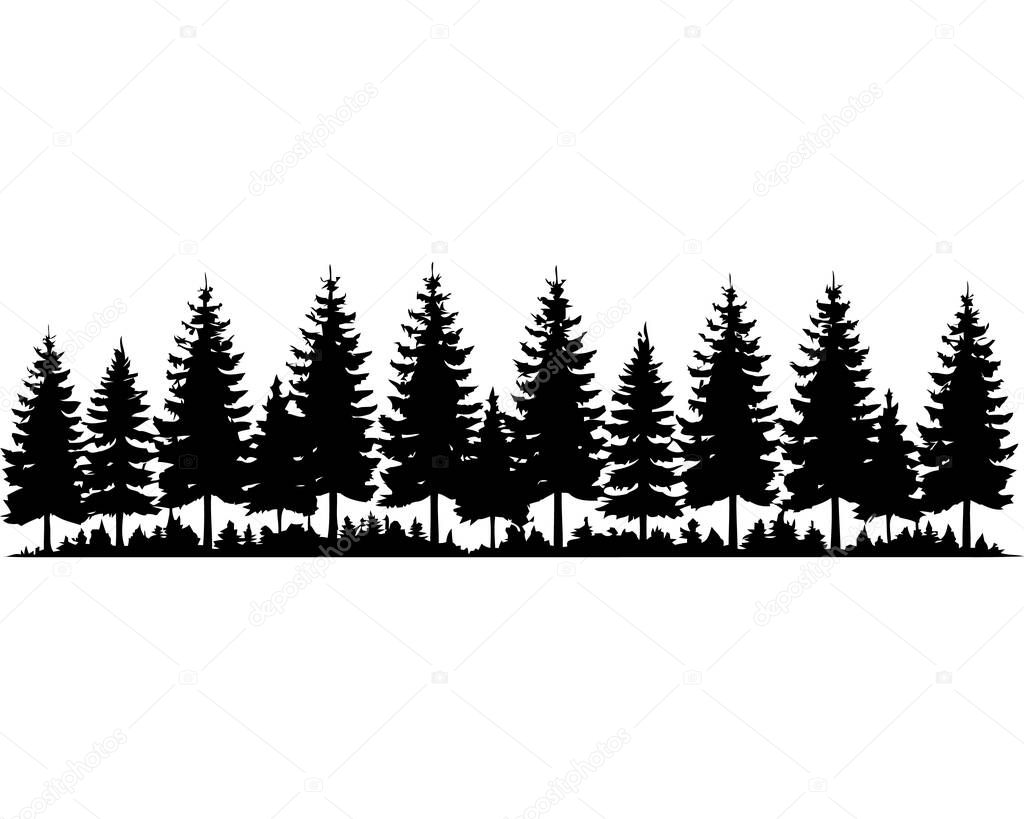 Pine tree silhouette, Christmas tree clip art. Winter Holiday Symbols. spruce tree, ink plant sketch, hand drawing. Forest Fir Trees, Black Evergreen Woods vector illustration. . Vector illustration