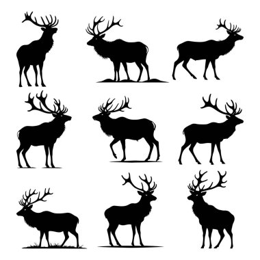 Geyik silueti seti. Hayvan boynuzu ormanı, orman, doğa, doğa, konsept illüstrasyon. - Evet. Vektör illüstrasyonu
