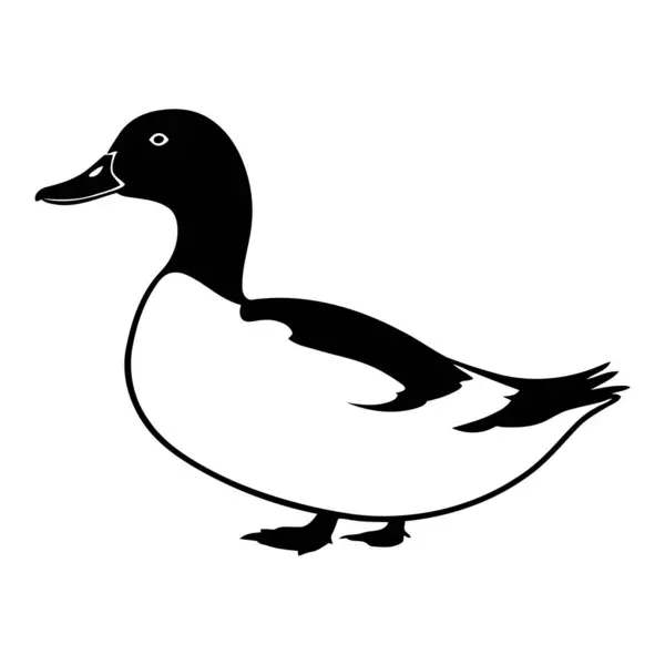 Vector Silhouette of Duck Walking with Webbed Feet for Animal Davranış, Wildlife, Nature ve Outdoor Temaları. Vektör illüstrasyonu