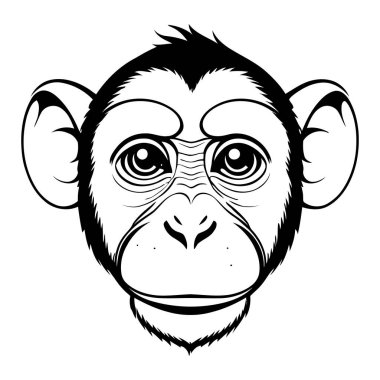 Maymun Yüzlü Maymun 'un Vektör Silueti, Doğal İfadesi Nazik Gözler, Rahatlamış Özellikler ve İnce Gülümseme, Primat Duygusu, Vahşi Yaşam Sanatı ve Gerçekçi Hayvan Resimleri