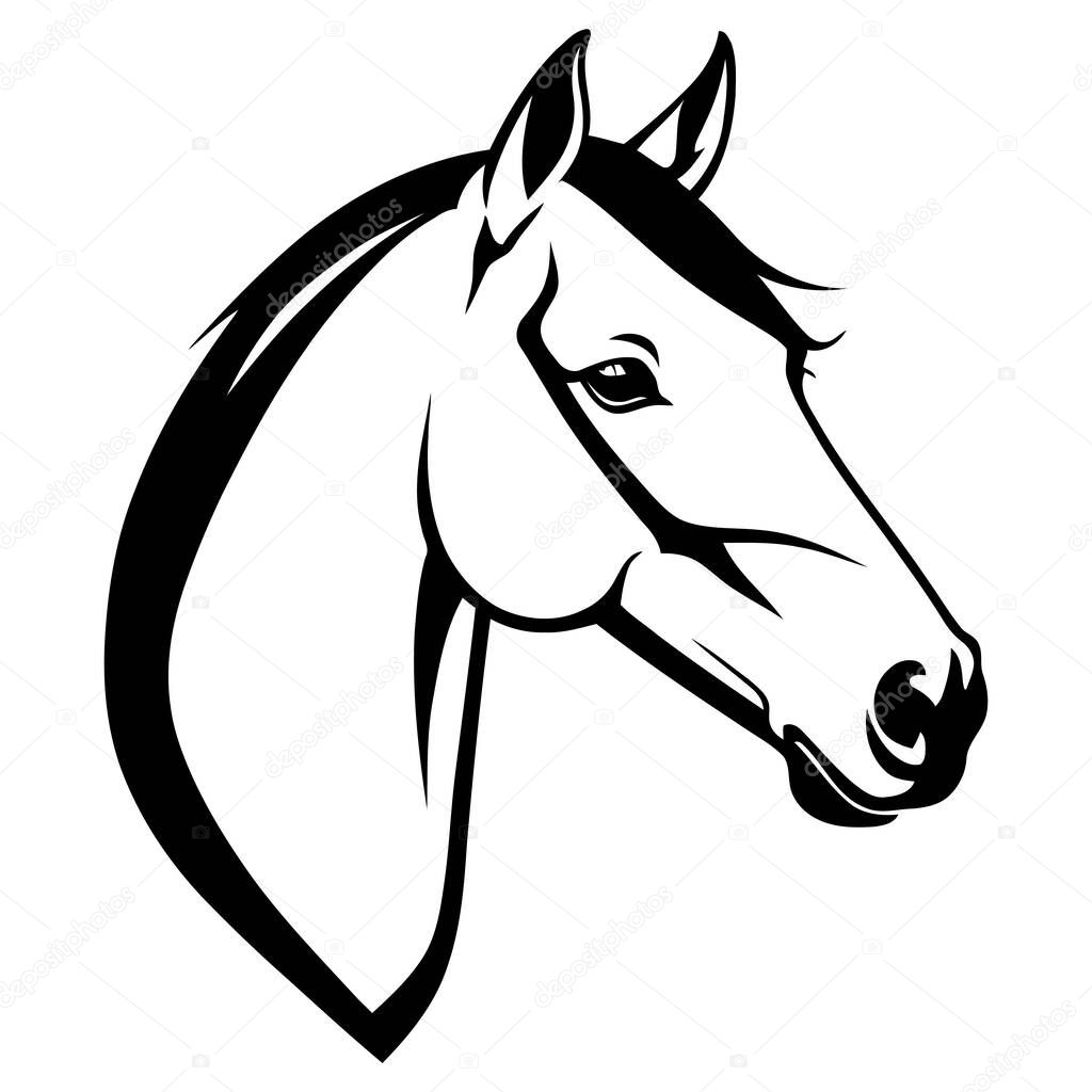 Horse head silhouette showing movement and energy with flowing mane vector perfect for sports teams, western wear designs, and animal conservation logos . Vector illustration