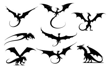 Farklı şekillerde dizilmiş Wyvern Ejderhası, efsanevi kanatlı yaratıklara, vahşi fantezi yaratıklara, vektör siluetlerine, oyun varlıklarına, fantazi hikayelerine ve ortaçağ temalarına uygun pozlar veriyor. Vektör illüstrasyonu